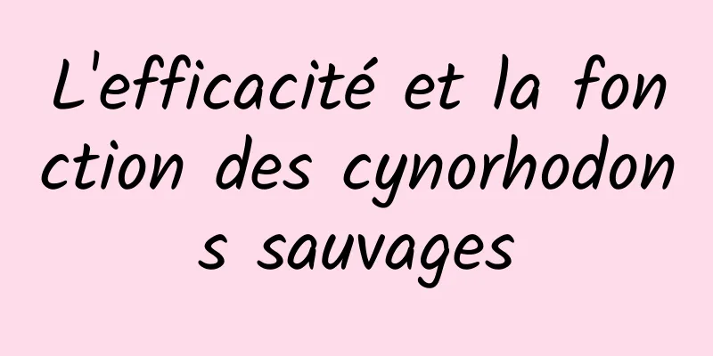 L'efficacité et la fonction des cynorhodons sauvages