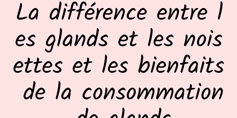 La différence entre les glands et les noisettes et les bienfaits de la consommation de glands