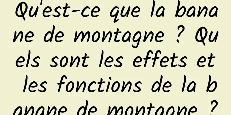 Qu'est-ce que la banane de montagne ? Quels sont les effets et les fonctions de la banane de montagne ?