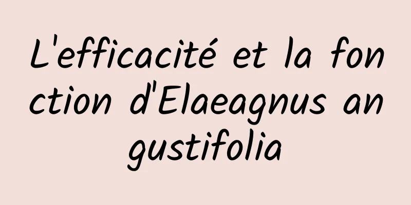 L'efficacité et la fonction d'Elaeagnus angustifolia