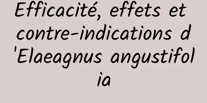 Efficacité, effets et contre-indications d'Elaeagnus angustifolia