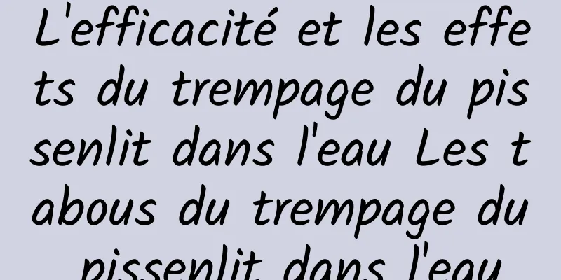 L'efficacité et les effets du trempage du pissenlit dans l'eau Les tabous du trempage du pissenlit dans l'eau