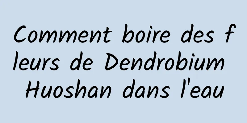 Comment boire des fleurs de Dendrobium Huoshan dans l'eau