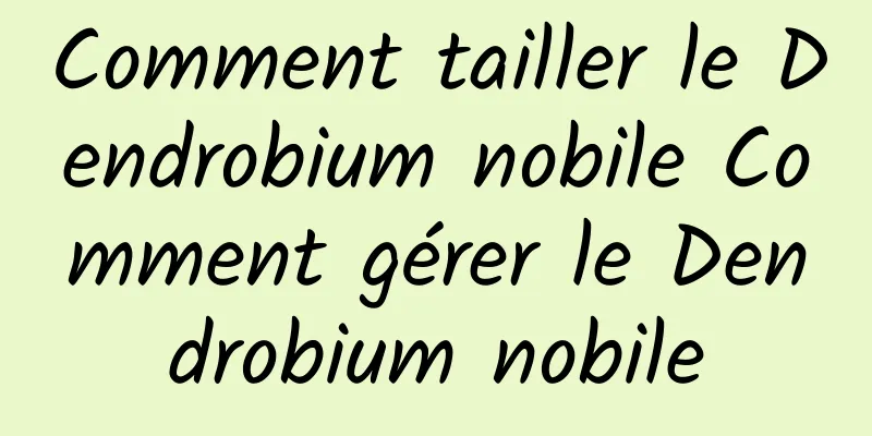 Comment tailler le Dendrobium nobile Comment gérer le Dendrobium nobile