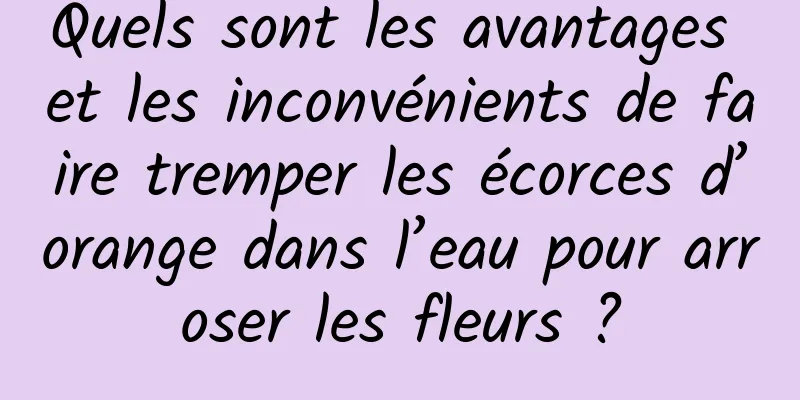 Quels sont les avantages et les inconvénients de faire tremper les écorces d’orange dans l’eau pour arroser les fleurs ?