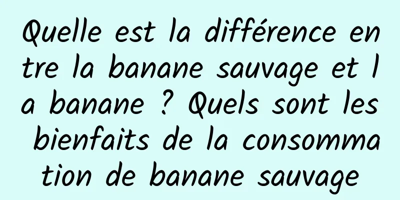 Quelle est la différence entre la banane sauvage et la banane ? Quels sont les bienfaits de la consommation de banane sauvage