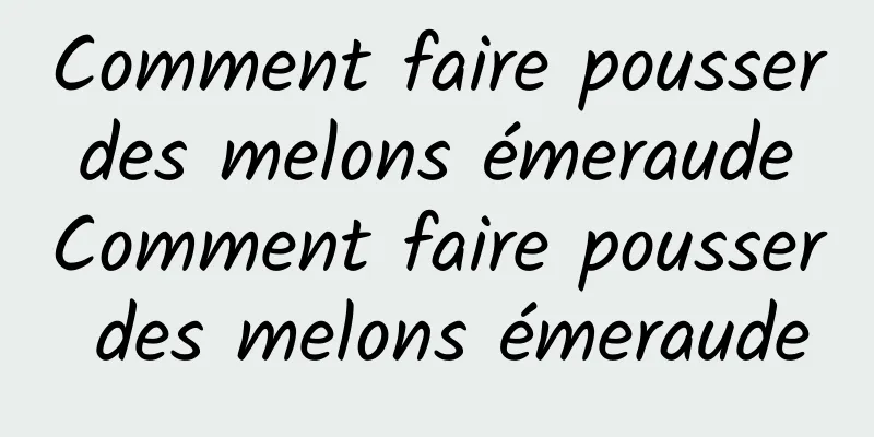 Comment faire pousser des melons émeraude Comment faire pousser des melons émeraude