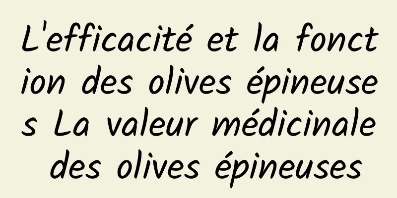 L'efficacité et la fonction des olives épineuses La valeur médicinale des olives épineuses