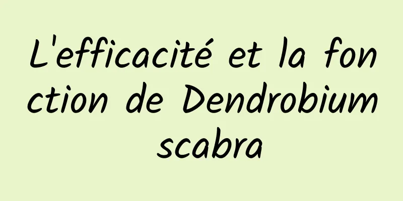 L'efficacité et la fonction de Dendrobium scabra