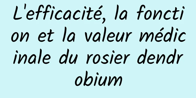 L'efficacité, la fonction et la valeur médicinale du rosier dendrobium