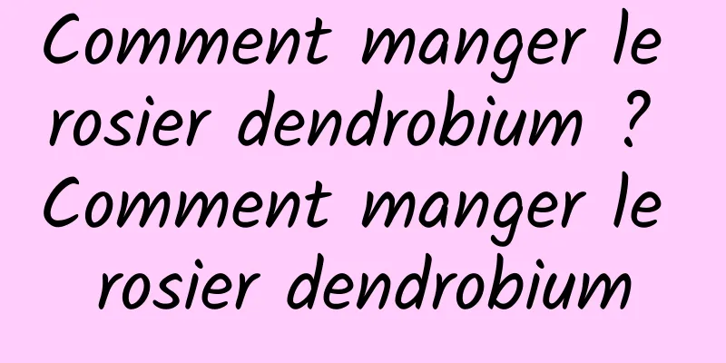 Comment manger le rosier dendrobium ? Comment manger le rosier dendrobium