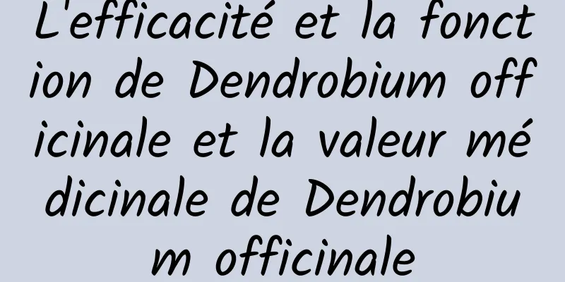 L'efficacité et la fonction de Dendrobium officinale et la valeur médicinale de Dendrobium officinale