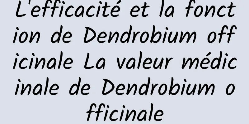 L'efficacité et la fonction de Dendrobium officinale La valeur médicinale de Dendrobium officinale