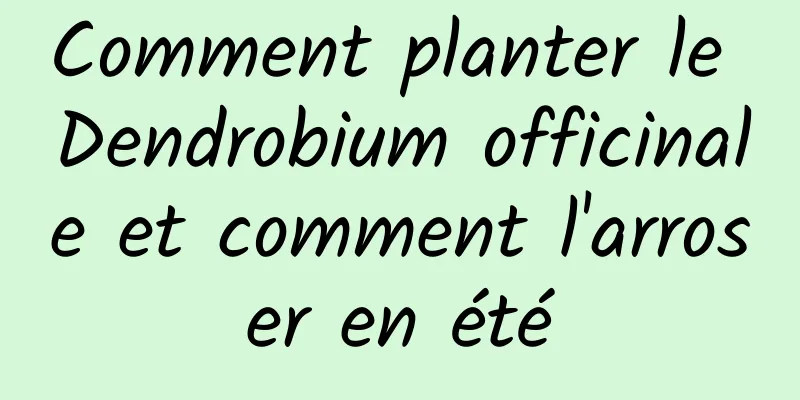 Comment planter le Dendrobium officinale et comment l'arroser en été