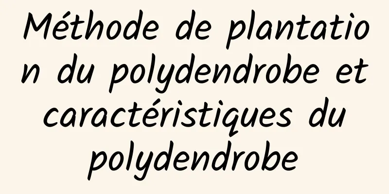 Méthode de plantation du polydendrobe et caractéristiques du polydendrobe