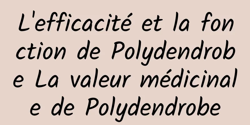 L'efficacité et la fonction de Polydendrobe La valeur médicinale de Polydendrobe