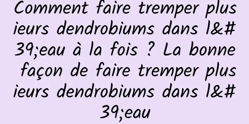 Comment faire tremper plusieurs dendrobiums dans l'eau à la fois ? La bonne façon de faire tremper plusieurs dendrobiums dans l'eau