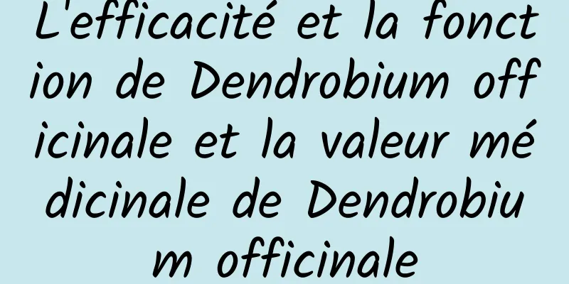 L'efficacité et la fonction de Dendrobium officinale et la valeur médicinale de Dendrobium officinale