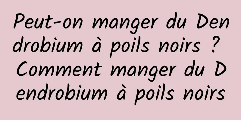 Peut-on manger du Dendrobium à poils noirs ? Comment manger du Dendrobium à poils noirs