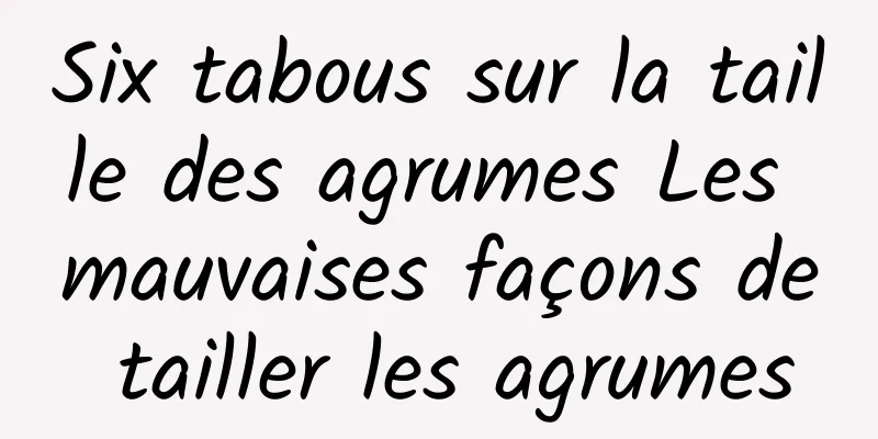 Six tabous sur la taille des agrumes Les mauvaises façons de tailler les agrumes