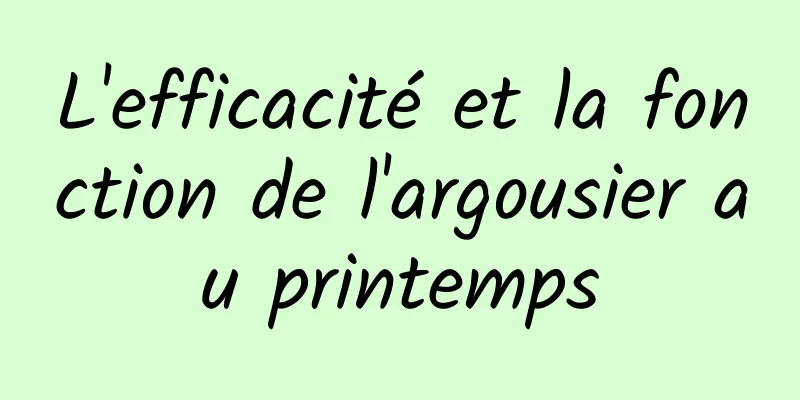 L'efficacité et la fonction de l'argousier au printemps