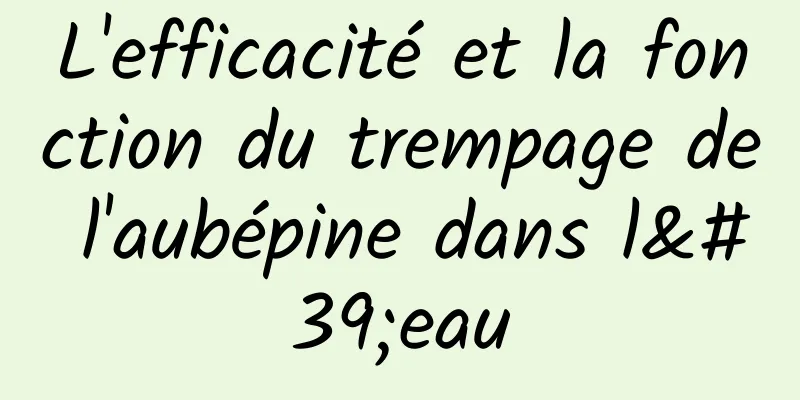 L'efficacité et la fonction du trempage de l'aubépine dans l'eau