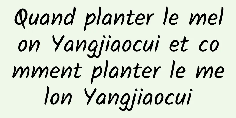 Quand planter le melon Yangjiaocui et comment planter le melon Yangjiaocui