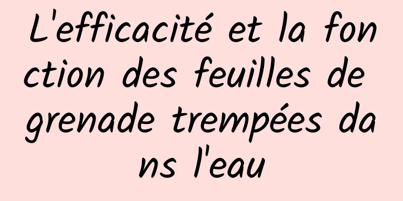 L'efficacité et la fonction des feuilles de grenade trempées dans l'eau