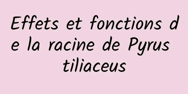 Effets et fonctions de la racine de Pyrus tiliaceus