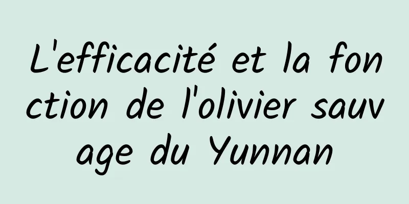 L'efficacité et la fonction de l'olivier sauvage du Yunnan