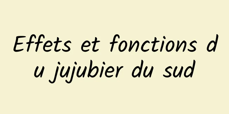 Effets et fonctions du jujubier du sud