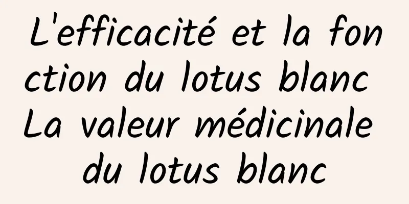 L'efficacité et la fonction du lotus blanc La valeur médicinale du lotus blanc