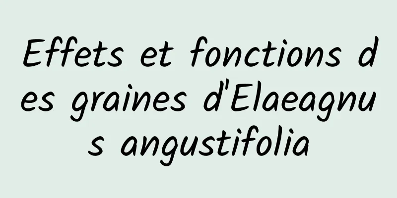 Effets et fonctions des graines d'Elaeagnus angustifolia