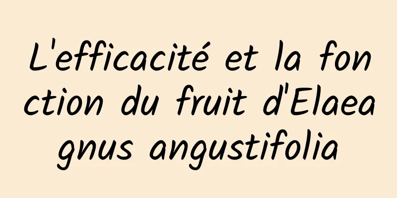 L'efficacité et la fonction du fruit d'Elaeagnus angustifolia