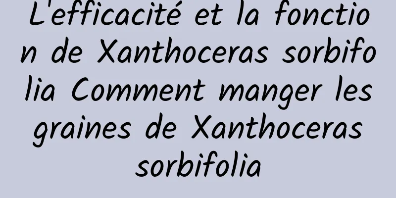 L'efficacité et la fonction de Xanthoceras sorbifolia Comment manger les graines de Xanthoceras sorbifolia