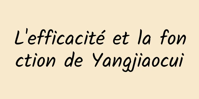 L'efficacité et la fonction de Yangjiaocui