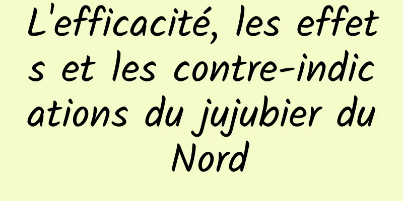 L'efficacité, les effets et les contre-indications du jujubier du Nord