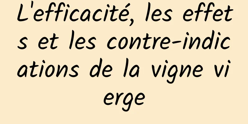 L'efficacité, les effets et les contre-indications de la vigne vierge