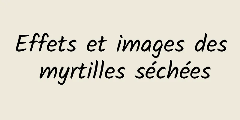 Effets et images des myrtilles séchées