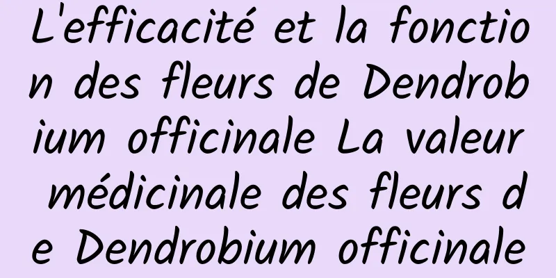 L'efficacité et la fonction des fleurs de Dendrobium officinale La valeur médicinale des fleurs de Dendrobium officinale