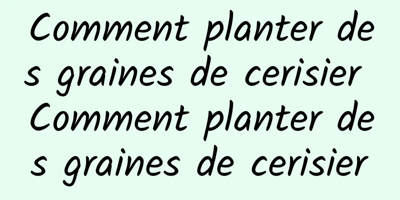 Comment planter des graines de cerisier Comment planter des graines de cerisier