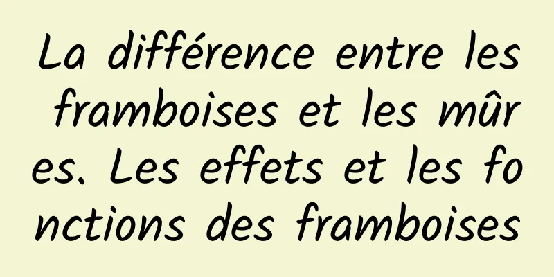 La différence entre les framboises et les mûres. Les effets et les fonctions des framboises