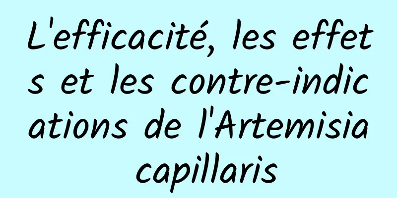 L'efficacité, les effets et les contre-indications de l'Artemisia capillaris