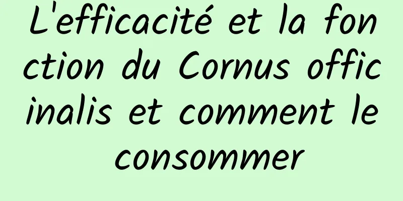 L'efficacité et la fonction du Cornus officinalis et comment le consommer