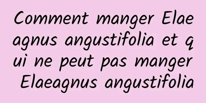 Comment manger Elaeagnus angustifolia et qui ne peut pas manger Elaeagnus angustifolia