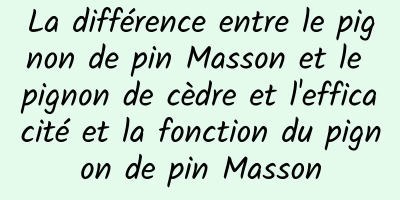 La différence entre le pignon de pin Masson et le pignon de cèdre et l'efficacité et la fonction du pignon de pin Masson