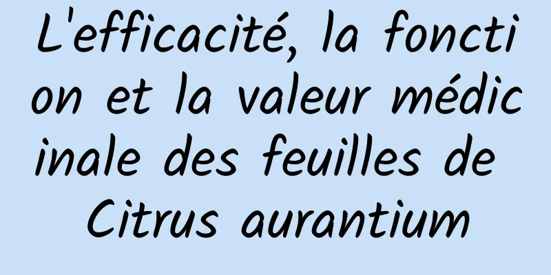 L'efficacité, la fonction et la valeur médicinale des feuilles de Citrus aurantium