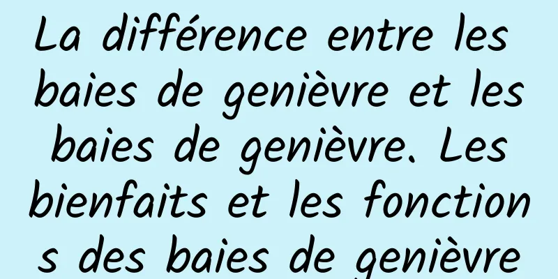 La différence entre les baies de genièvre et les baies de genièvre. Les bienfaits et les fonctions des baies de genièvre