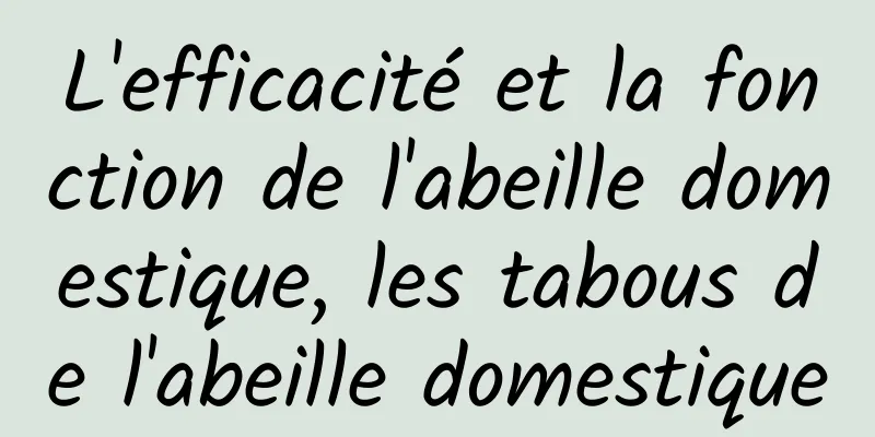 L'efficacité et la fonction de l'abeille domestique, les tabous de l'abeille domestique