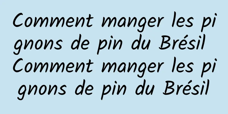 Comment manger les pignons de pin du Brésil Comment manger les pignons de pin du Brésil